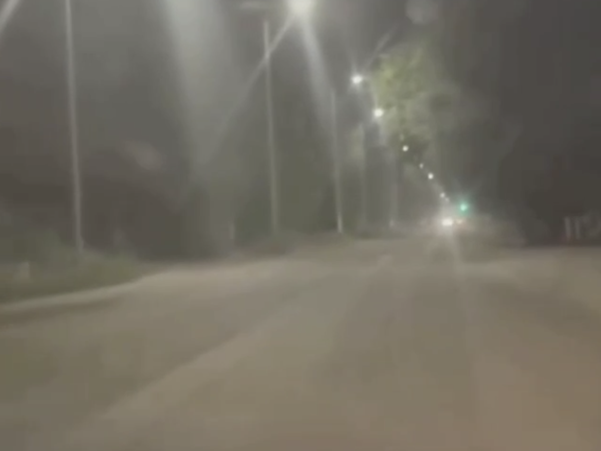 Фото: видео скриншот