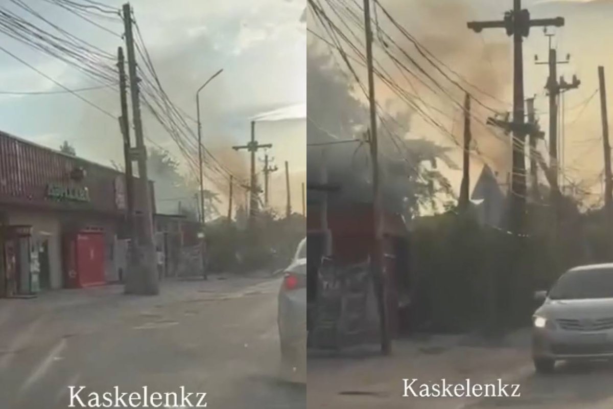 коллаж: Sn.kz