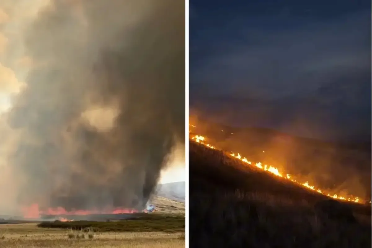 Фото: видео скриншот