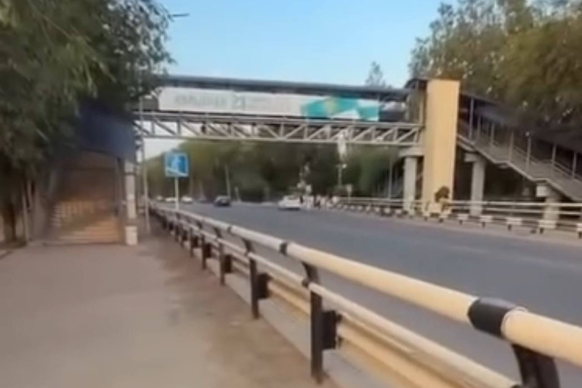 Фото: Видео скриншот