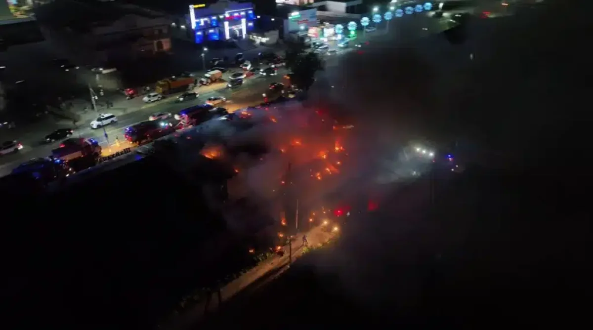 Фото: Видеодан скриншот