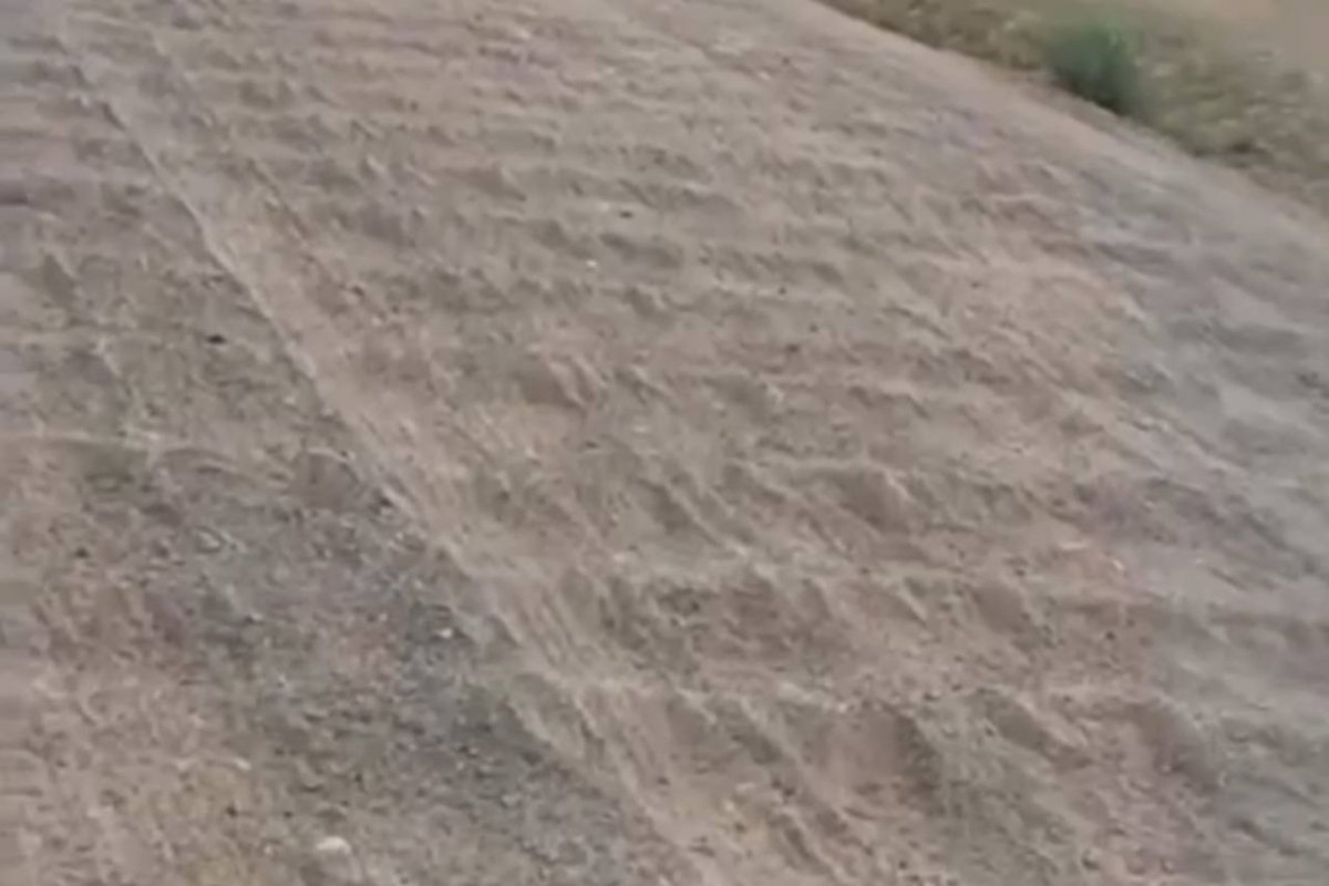 Фото: Видео скриншот