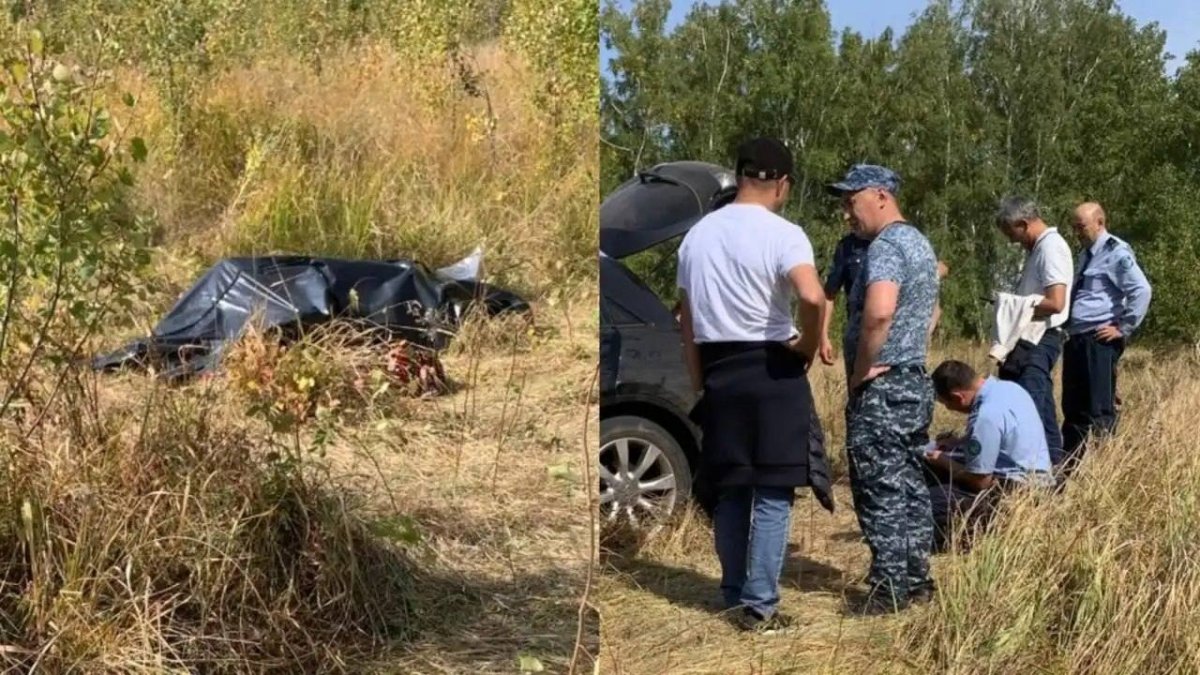 Фото: видеодан скрин