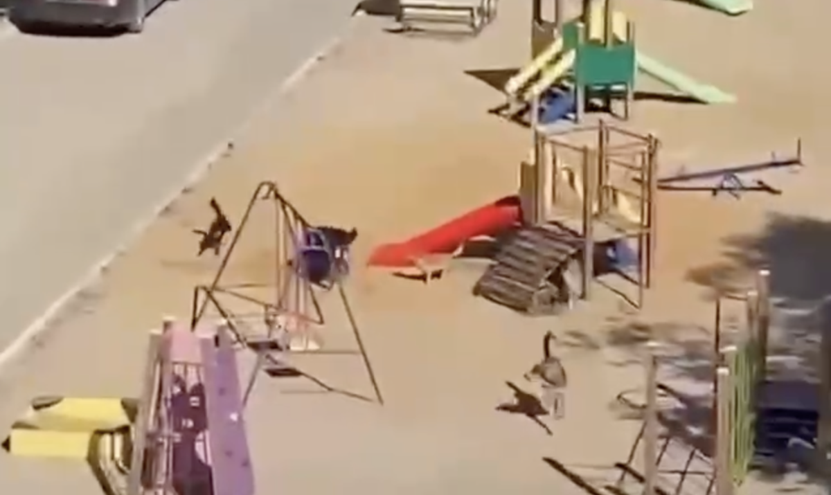 Фото: видео скриншот