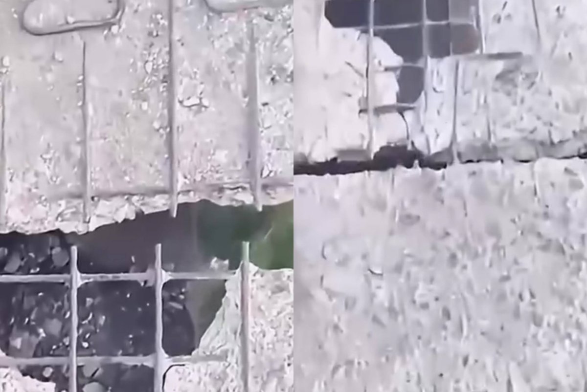 Фото: видеодан скриншот