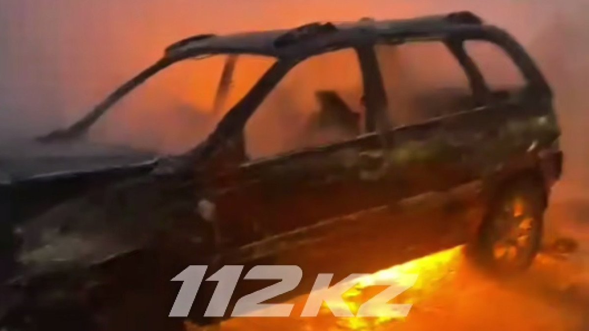 Фото: видео скриншот