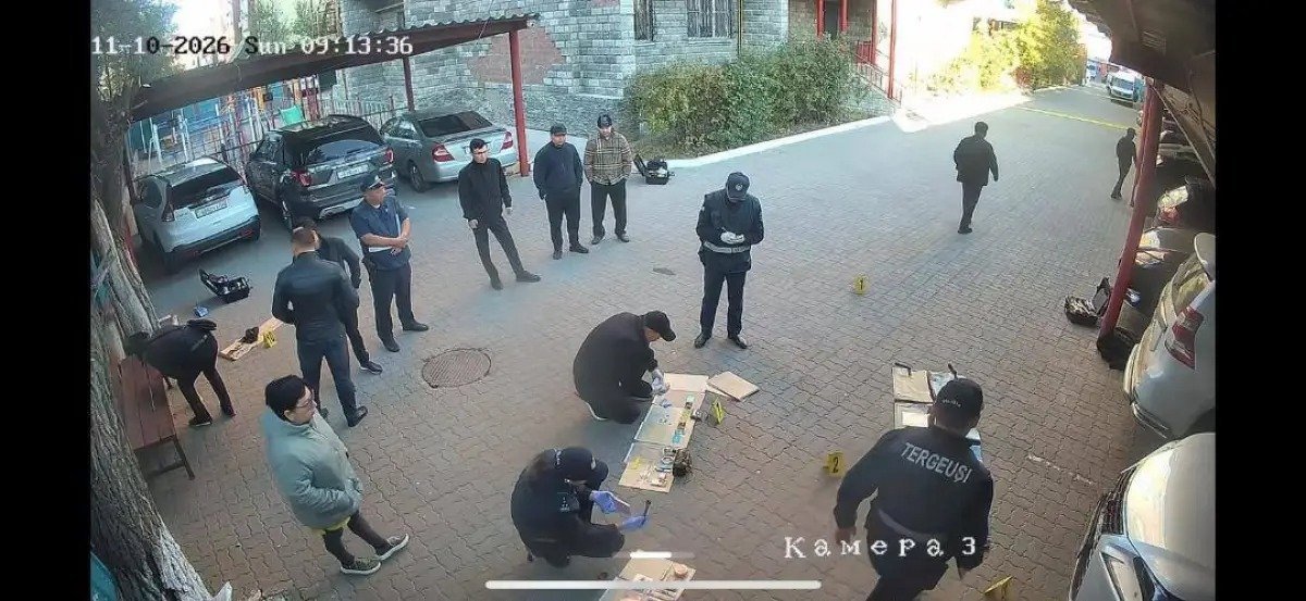 Фото: видео скриншот