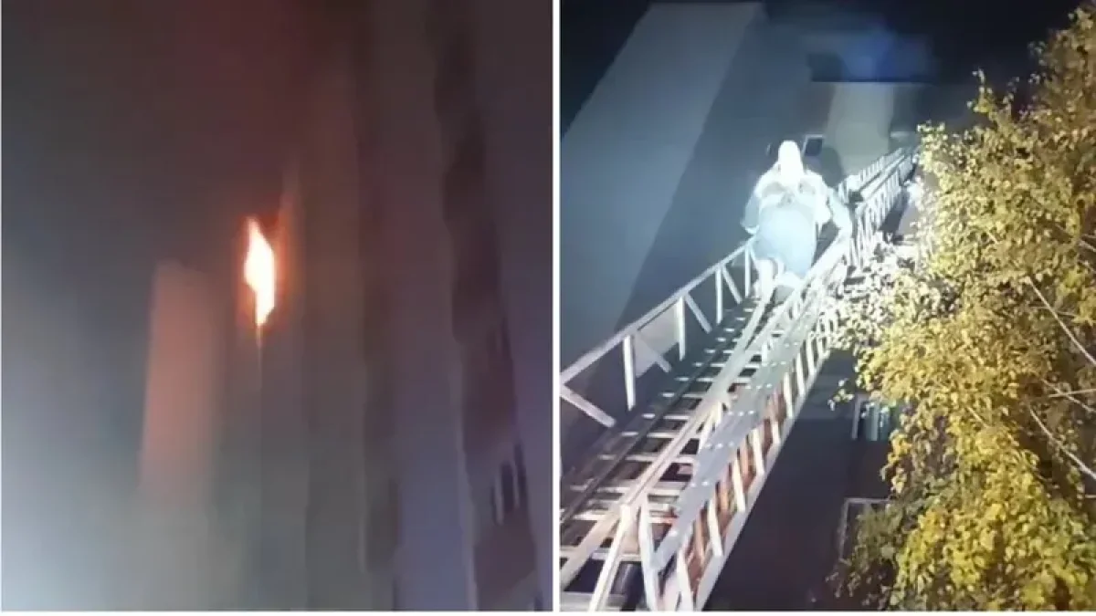 Фото: Видео скриншот
