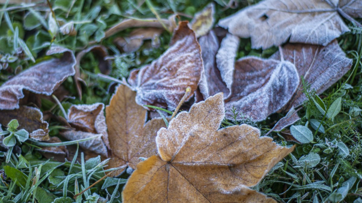 Фото: tengrinews