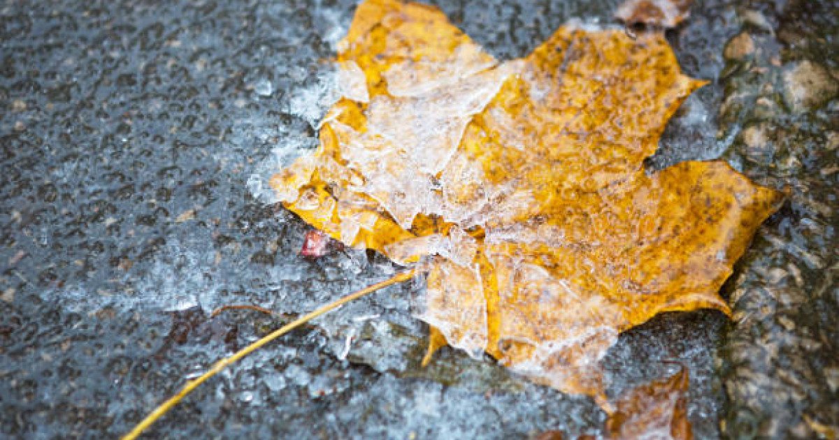 Фото: aikyn.kz