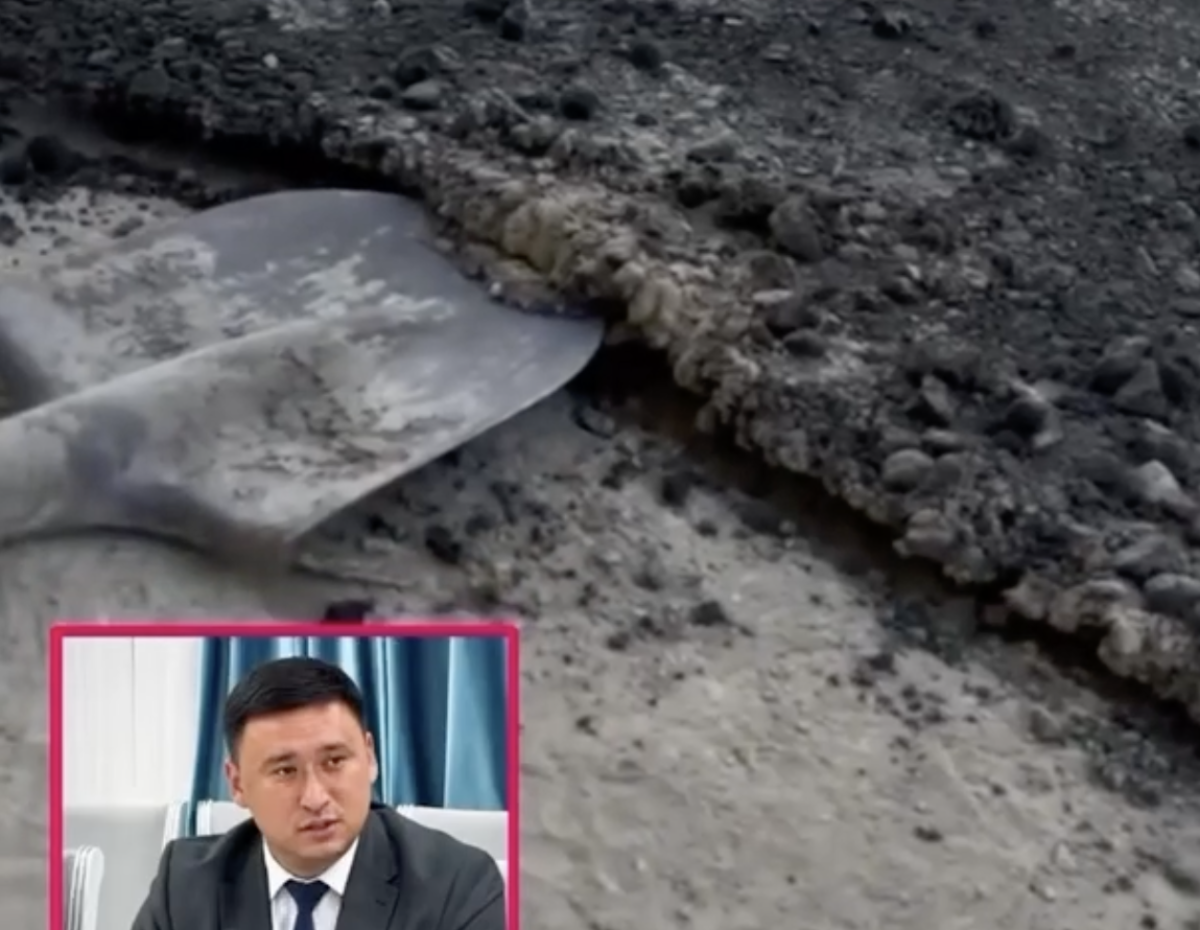 Фото: видео скриншот