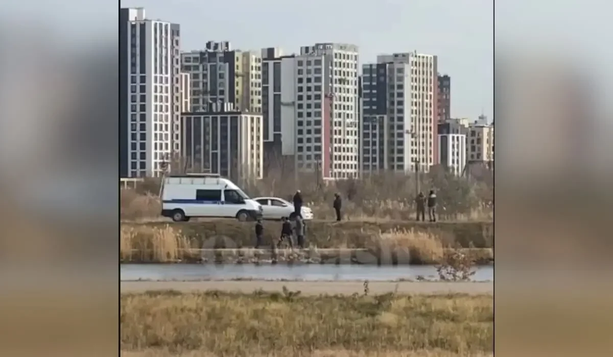 Фото: видеодан скрин