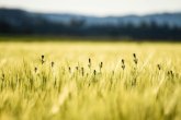 Еліміздің барлық дерлік өңірінде дауылды ескерту жарияланды