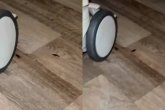Түркістанда балалар ауруханасын тарақан басып кеткен