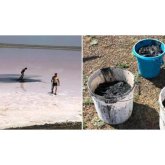 Көбейтұздан балшық алып жүрген елордалық ерлі-зайыптыларға айыппұл салынды