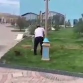 Түркістанда көгалды жасылға бояп жатқандар желіні шулатты (ВИДЕО)