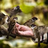 Алматыда онкологиялық ауруға шалдыққан балаларға көмек көрсетуге бағытталған «Мейірімді өнім» қайырымдылық жобасы басталды